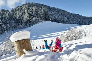 rodeln skiwelt soell